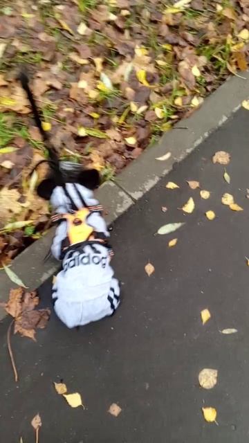 Варвара Фёдоровна💖