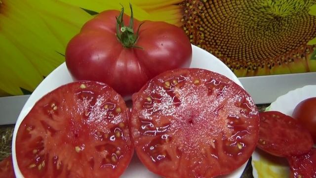 Очень вкусный урожайный томат МАЛИНОВЫЙ УРОЖАЙ. №901. Обзор 2022 года.