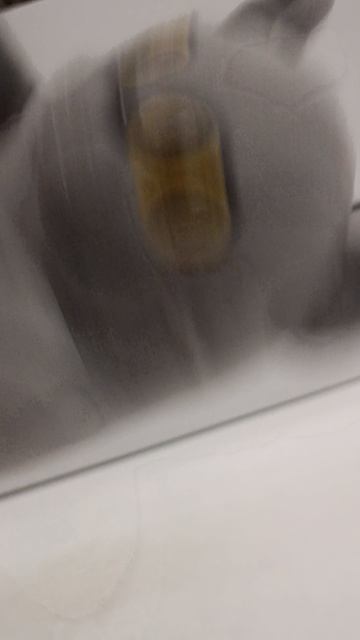 кот батон 2 сезон 2 серия побег из подвала