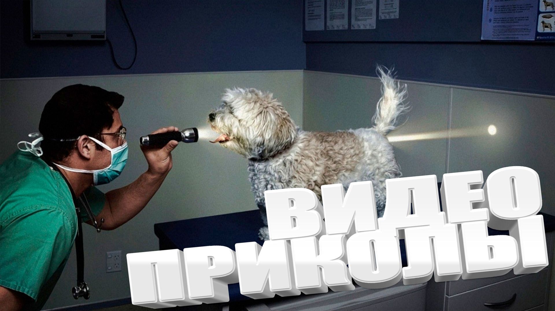 подборка приколов до слëз | смешные видео | лучшие приколы, юмор