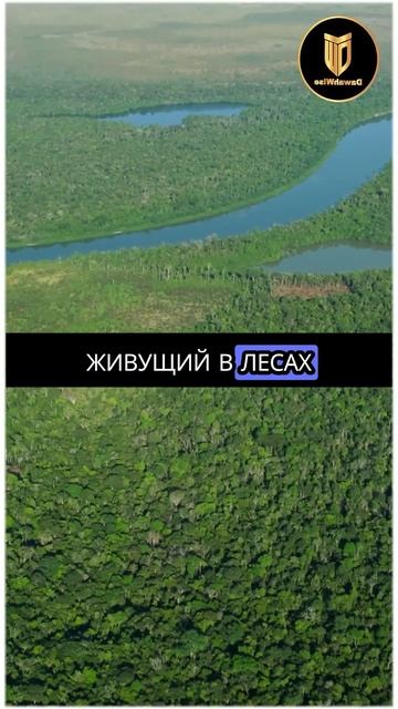 Интересный вопрос христианина мусульманину! Хашим Уголок ораторов!