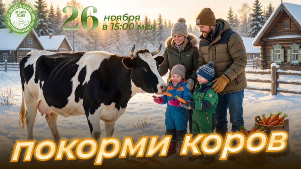 Кормление коров онлайн в день умножения доброты, 26 ноября 2025г., Планета коров