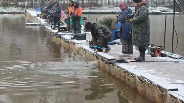 Поимки спорт зона