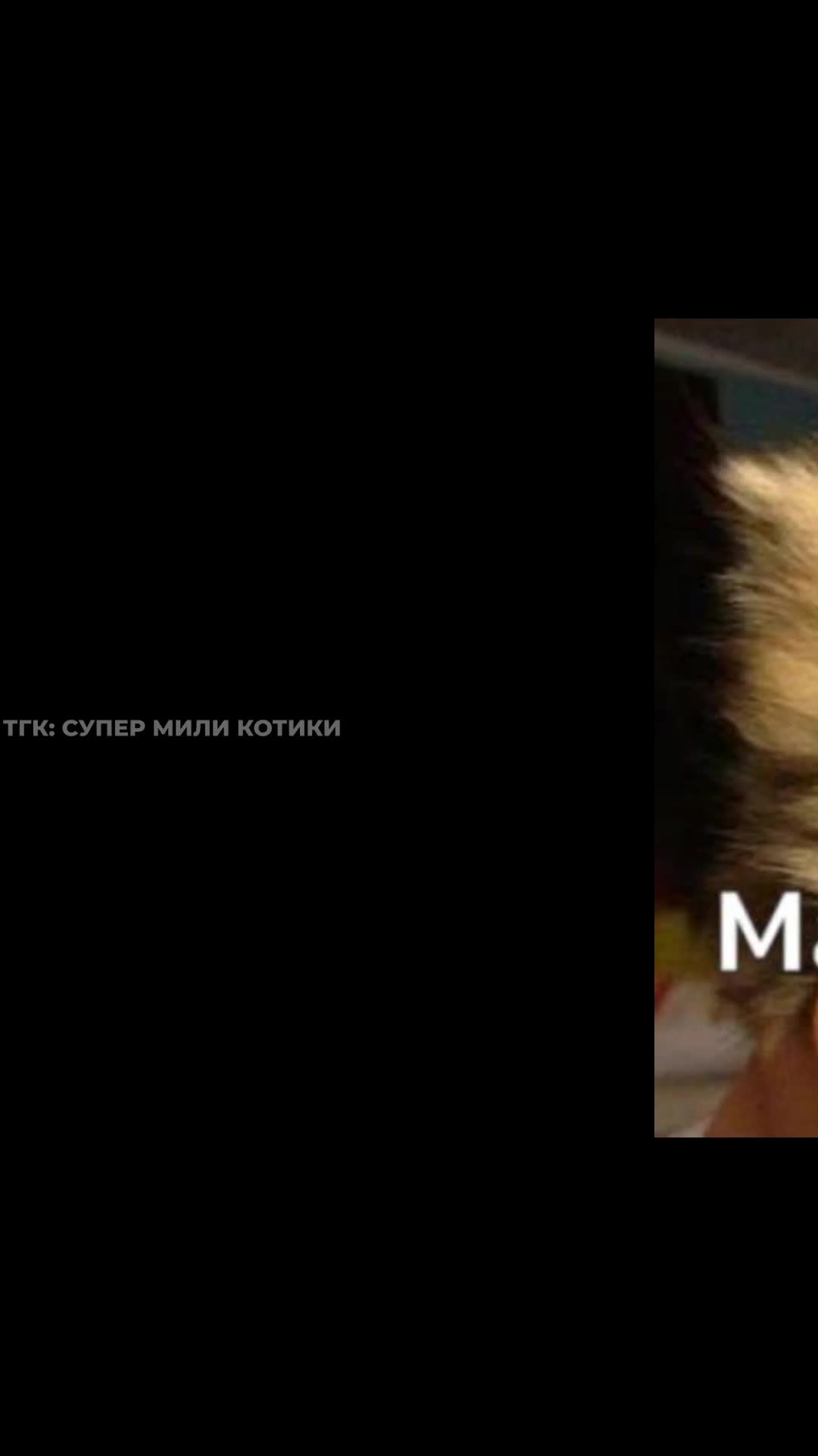 supermilikotiki_126.mp4