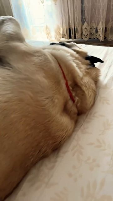 25 ноября 2025 г.