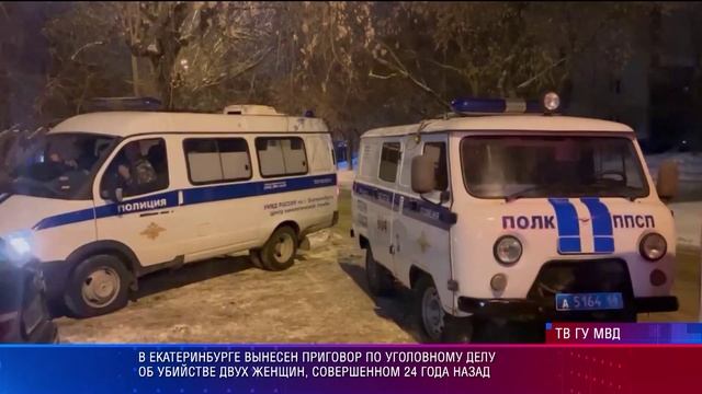 В Екатеринбурге вынесен приговор по уголовному делу об убийстве двух женщин, 24 года назад