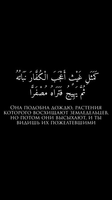 Сура Аль-Хадид 20 аят || Абу Бакр Аш-Шатри