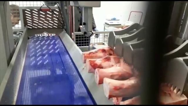 Нарезка говяжьих костей и хребтов на автоматической пиле Mainali RB-1