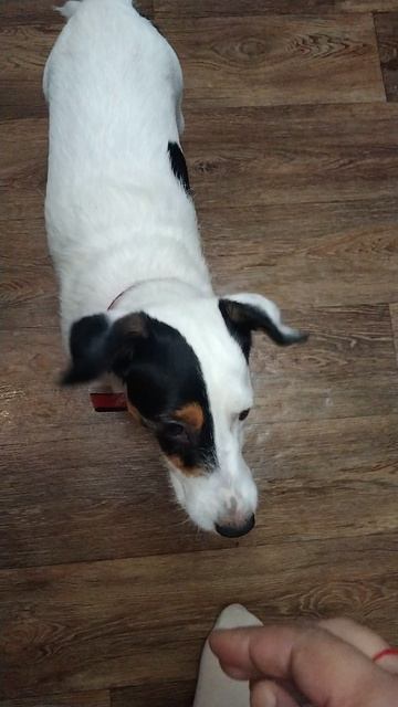 сабуля 😘👍😉