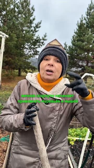 Кальций для почвы!