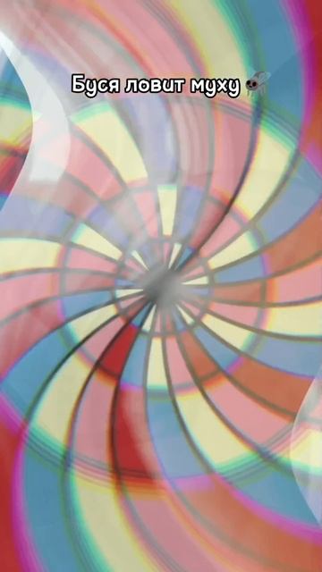 Буся вышла на охоту🤭. Ну держитесь! Простите за тряску камеры , снимал брат и сестра 😉