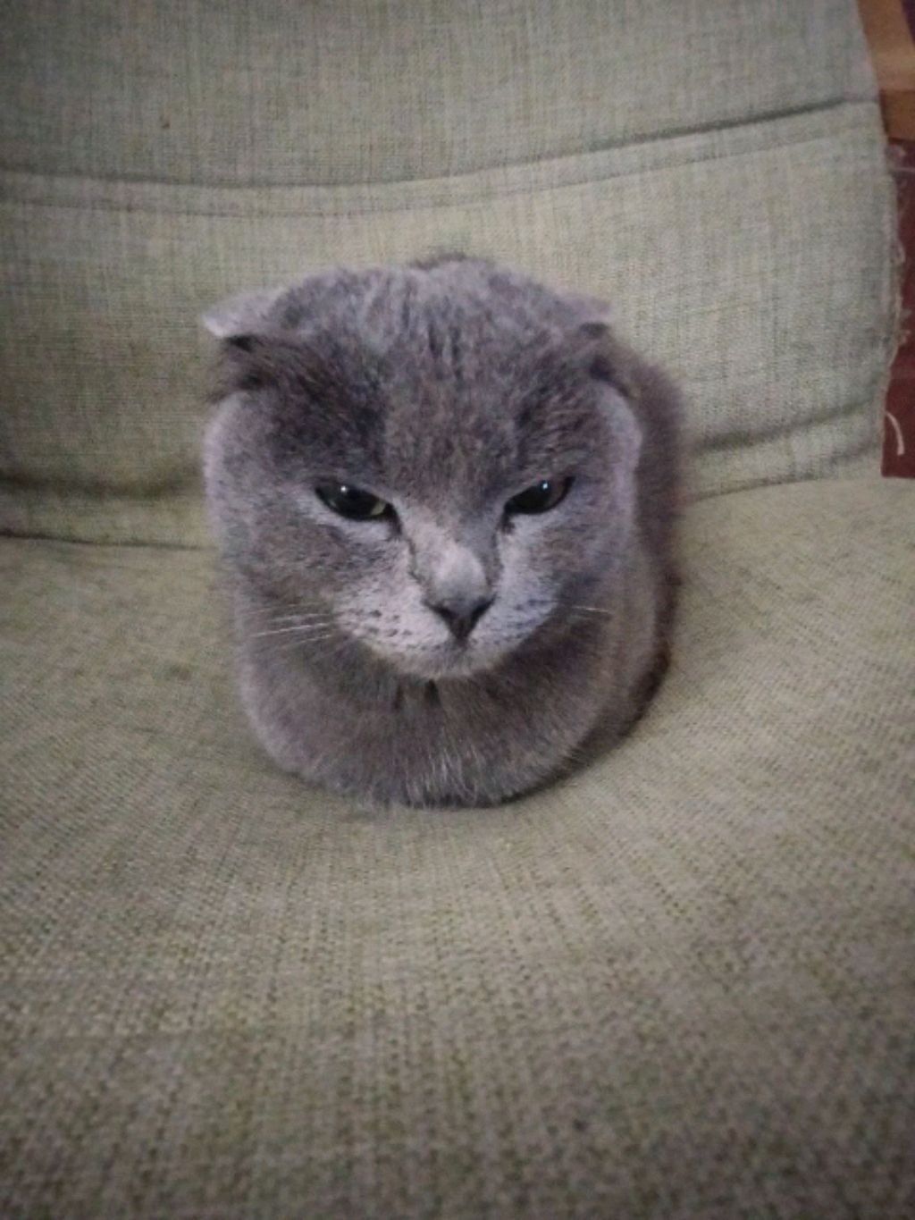 Подарок для подписчиков :3