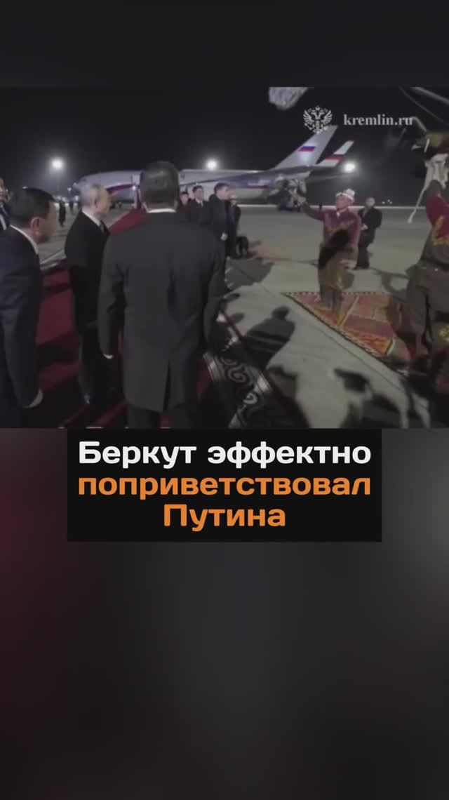 Беркут эффектно поприветствовал Путина