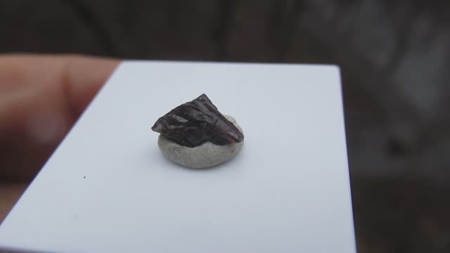 Пейнит купить