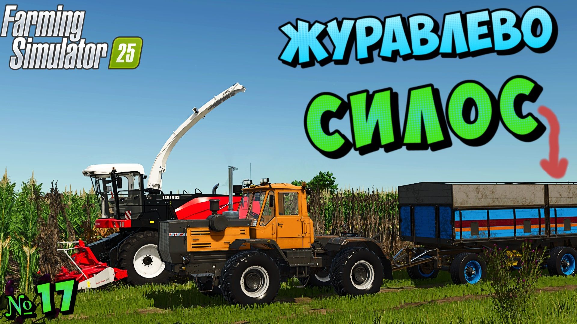 Занимаюсь СИЛОСОМ НА АРЕНДНОМ ПОЛЕ -{FS25}- " ЖУРАВЛЁВО "