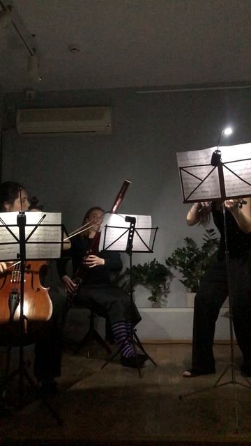 Чеховка. Концерт во тьме, но не кромешной. Скрипка, альт, виолончель и фагот все разом. Фрагмент 18