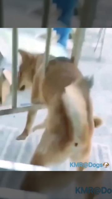 Неудачный выход🪟😂