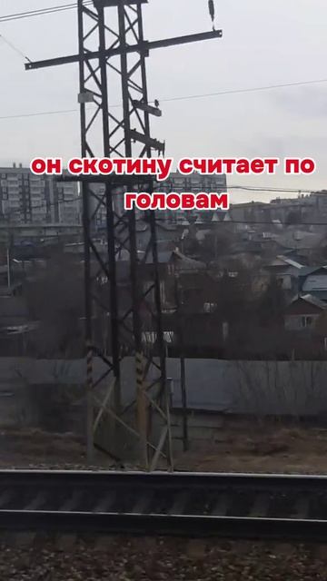 #юмор #приколы #смех #ржака #угар