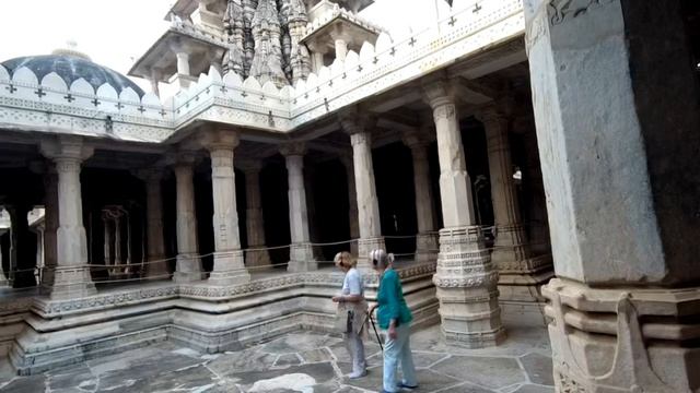 petal_20251124_172106.mp4