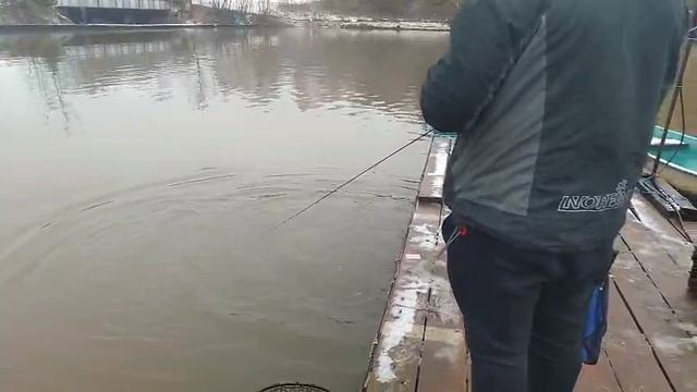 Снова розовый пламп