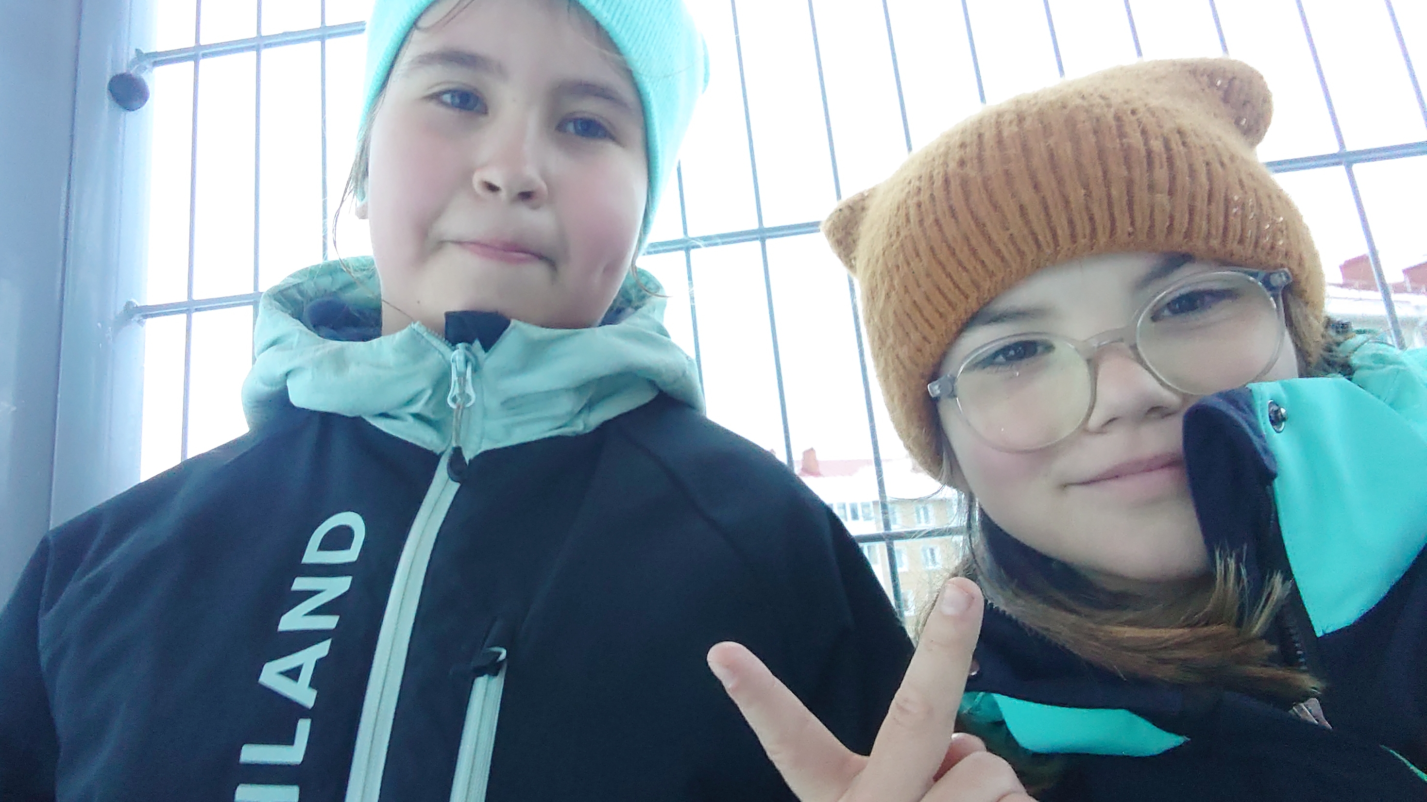 нас пытаются закидать снежками