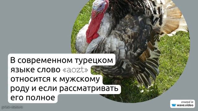 Фамилия Аозт: истоки и трактовки, полное склонение и значение в истории