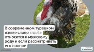 Фамилия Аозт: истоки и трактовки, полное склонение и значение в истории