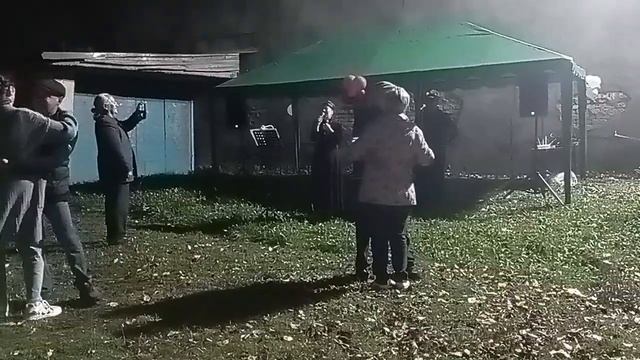 26 ноября 2025 г.