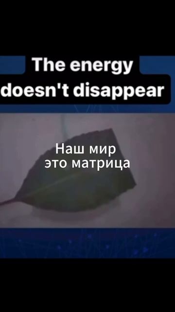 НАШ МИР ЭТО МАТРИЦА