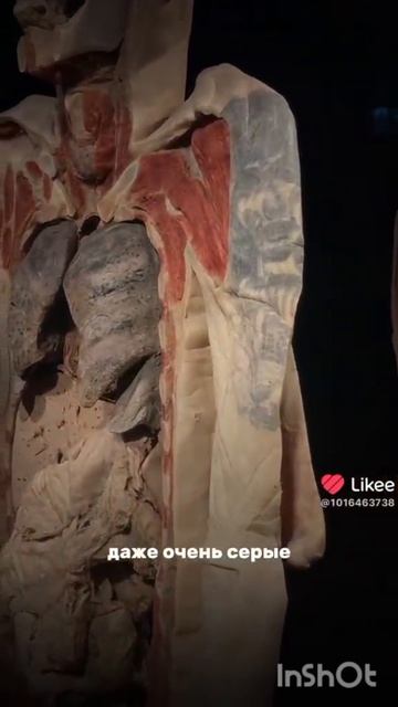 # немного о вреде здоровью#😂# обовсемнасвете #рекомендации #тренды #