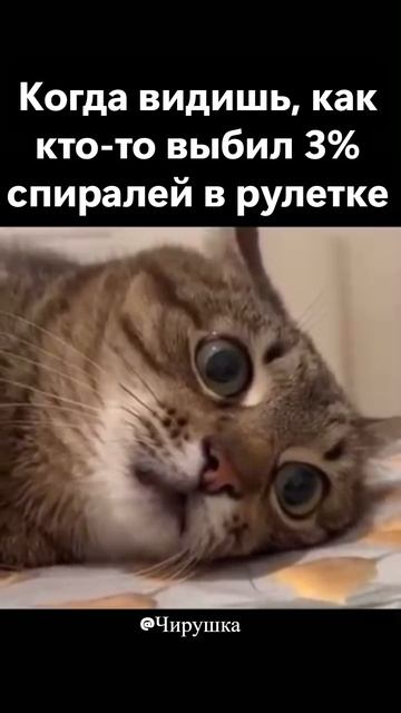 Когда видишь, как кто-то выбил 3% спиралей в рулетке