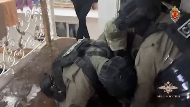 Цыганская ОПГ разбита — задержан криминальный клан на миллионы!