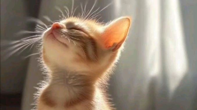 необычные пожелания с добрым утром