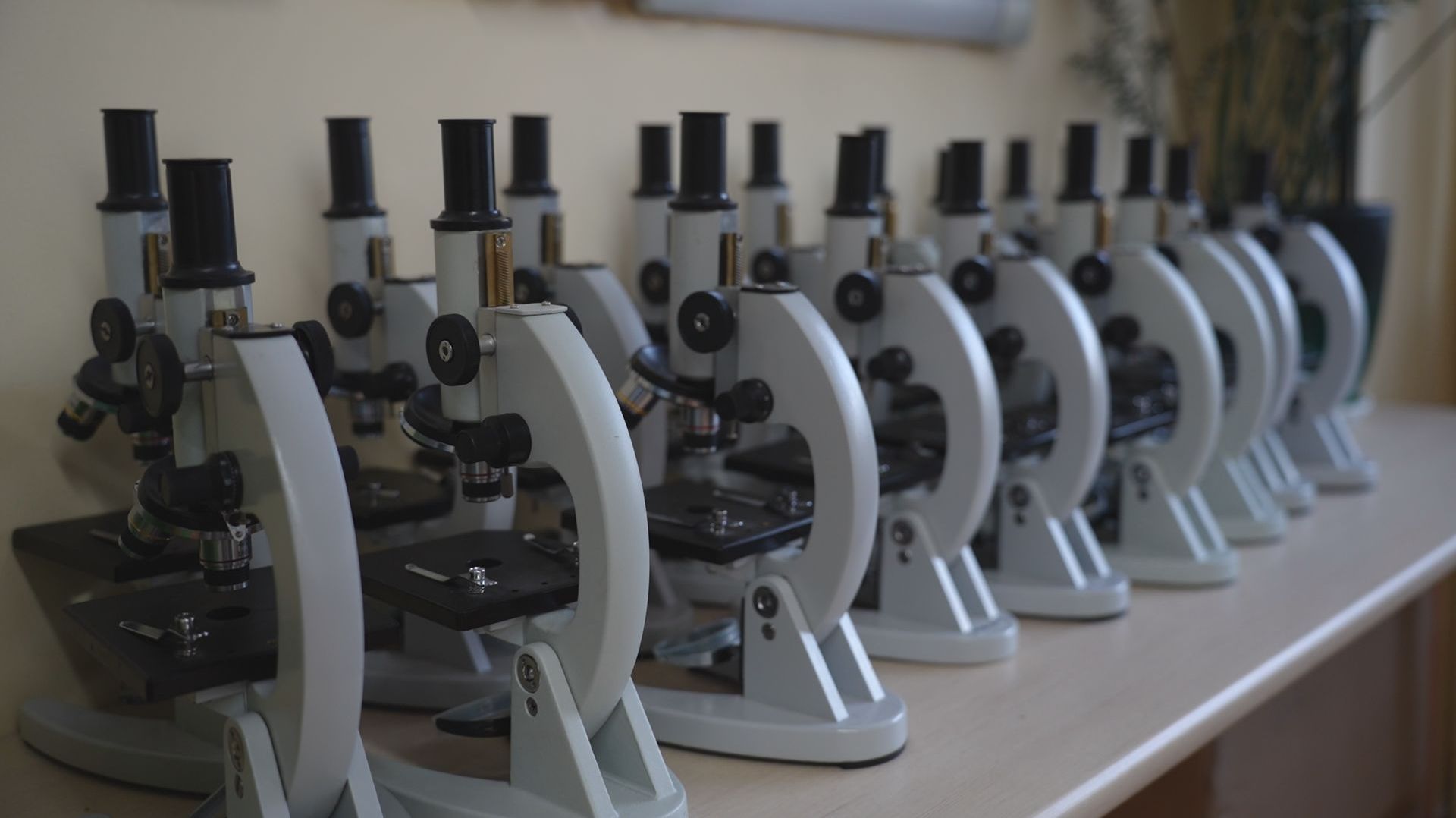 ШКОЛА БУДУЩЕГО