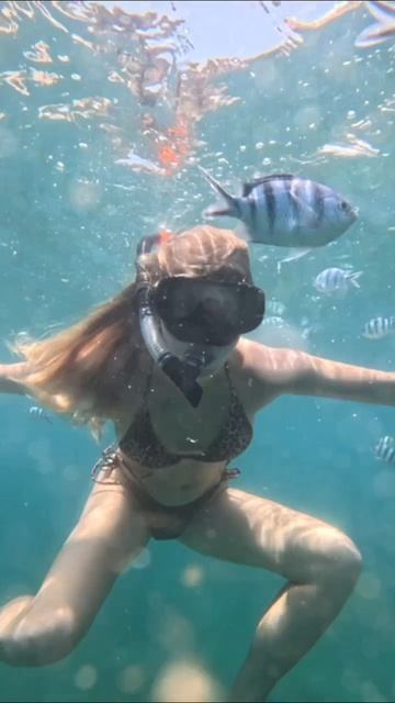 Снорклинг 🐠🐟🐡❤️☺️