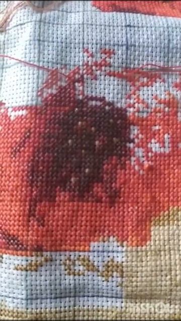 Архив 2024.✨"Маки на столе.18 марта 2024 года✨