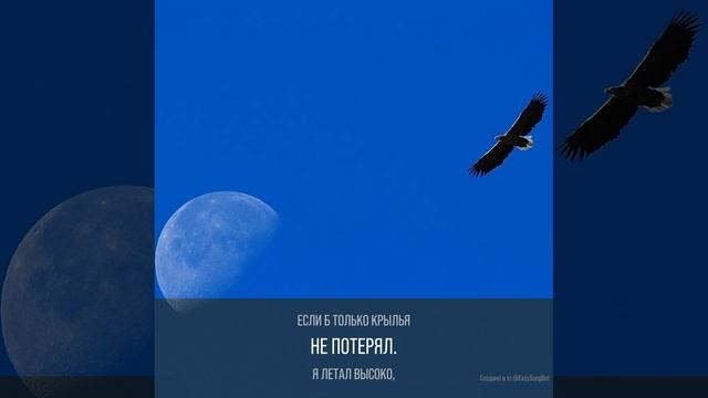 Плач старого ворона