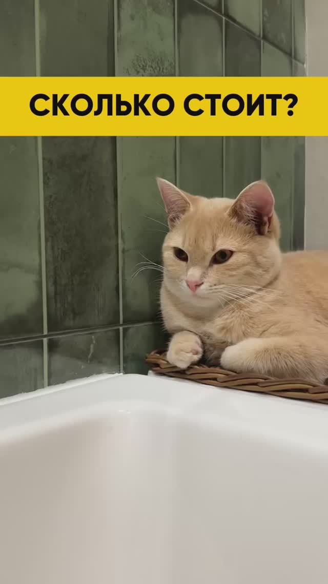 Вот это поворот 😮