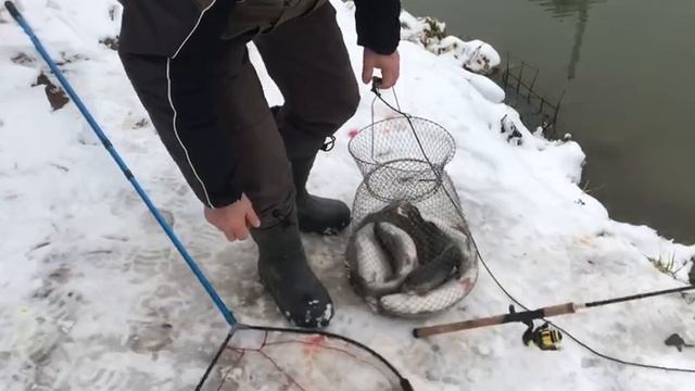 предварительный улов форели у Андрея