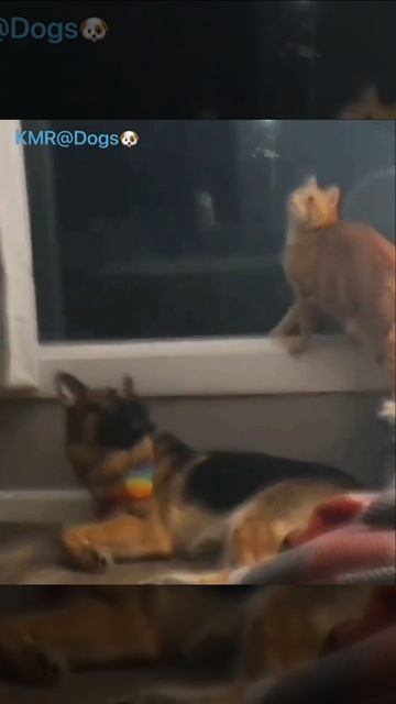 Что я? Я ничего😂