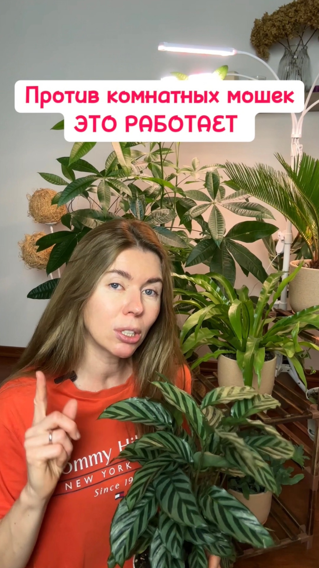 Достали грибные комарики? Есть рецептик