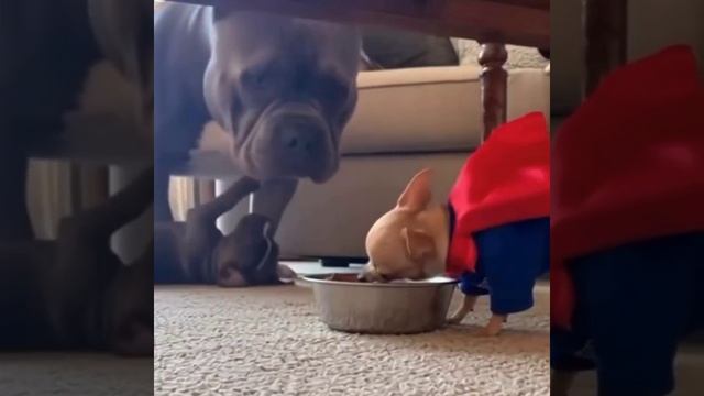 Зря быканул.