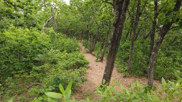 Поднялись на сопку Роза ветров, с видом на Седанкинское  Пионерское  водохранилище #природа#приморье