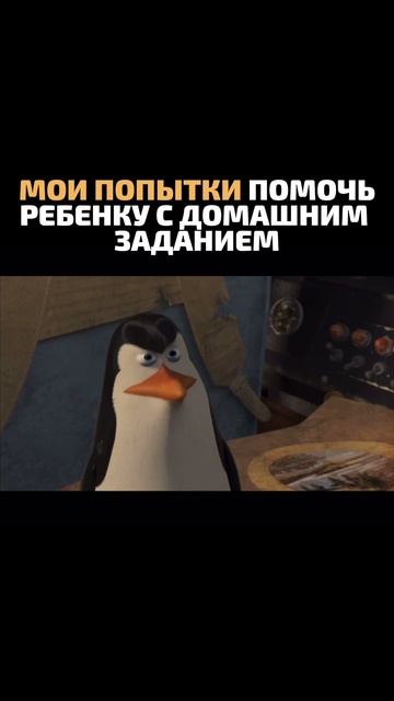 сначала вы удивляетесь, потом гордитесь.