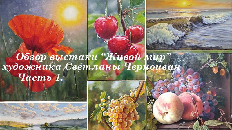 Видеообзор моей выставки "Живой мир", часть 2