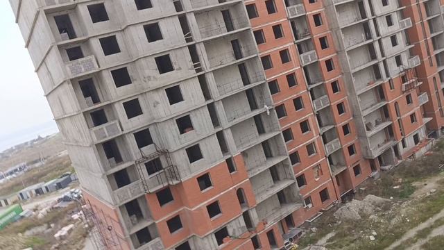 кот батон 2 сезон 3 серия