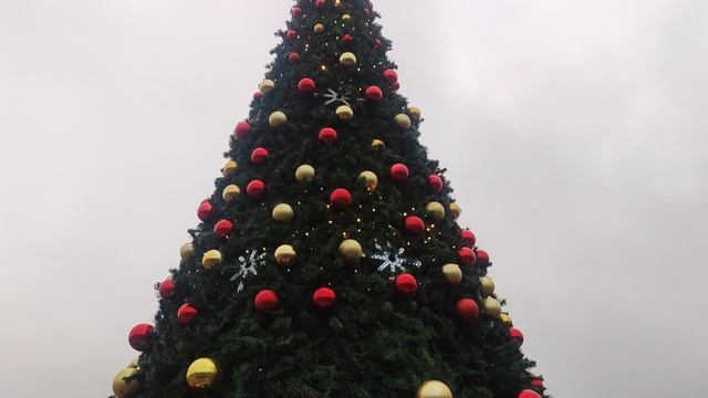 магический репортаж прогноз и поздравление с новым 2026 годом 🎄