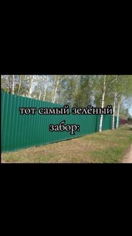 Александр шепс и интервью с зелёным забором