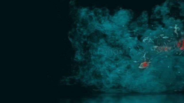 футаж - Пламенный Конь