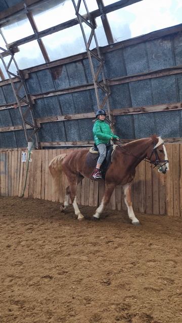 Василиса пытается ехать на Каспере учебной рысью.